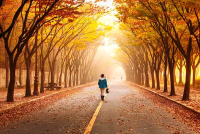 Rear view of person walking on footpath during autumn