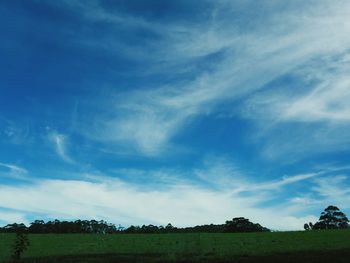 Scenic view of agricultural field against blue sky