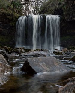 Scenic view of waterfall in forest