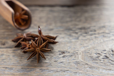 Close-up of dry leaf on table