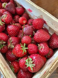 High angle view of strawberries