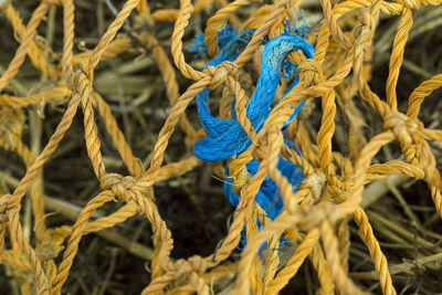 Close-up of ropes tied on rope