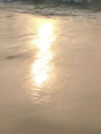 Close-up of beach against sky during sunset