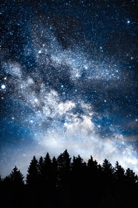 Low angle view of silhouette trees against sky at night