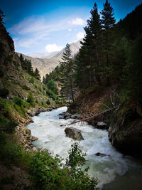 Scenic view of river stream amidst trees against sky