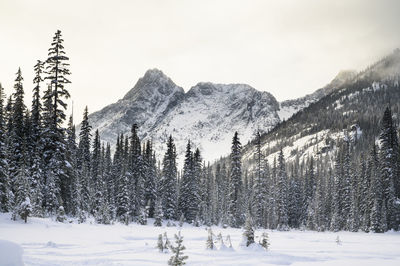 Snow covered mountains in the north cascades