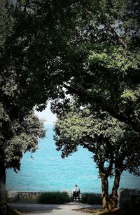 Rear view of people on lake by trees