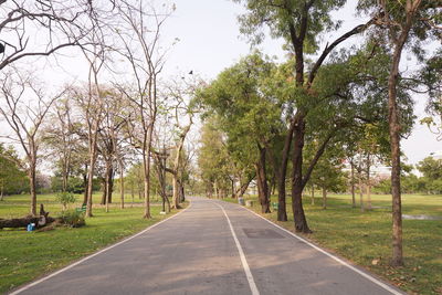 Empty road along trees and plants