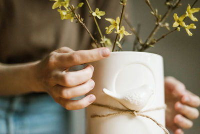 Close-up of woman hand holding white flowering plant