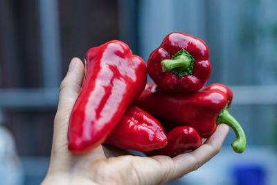 Cropped hand holding red bell peppers