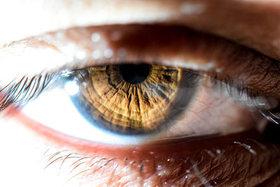 Detail shot of human eye