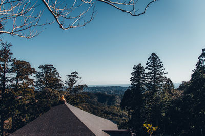 Trees and plants against clear blue sky