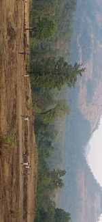 Scenic view of landscape