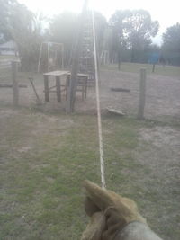 View of playground in park