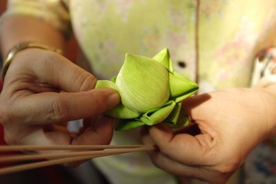 Close-up of cropped hand holding plant