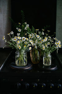 Close-up of potted plant on table