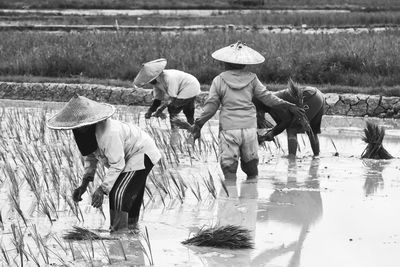 Farmers working in farm