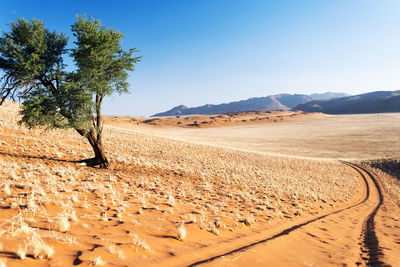 Scenic view of desert against sky