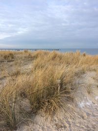 Scenic view of beach against sky