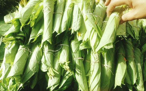 Cropped hand of person holding betel leaves for sale at market