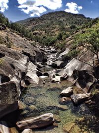 Stream flowing through rocks