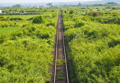 Railroad tracks amidst trees on landscape