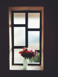 Flower in window