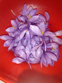 High angle view of red rose on table