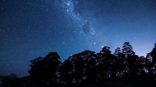 Low angle view of silhouette trees against sky at night