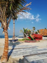 Palm trees at beach against sky