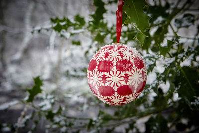 Close-up of red decoration hanging on tree
