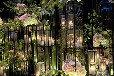 Close-up of illuminated flower bouquet at night