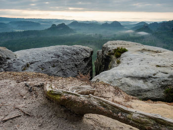 Foreground with an old bonsai pine root. view from kleiner winterberg across grosser zschand valley