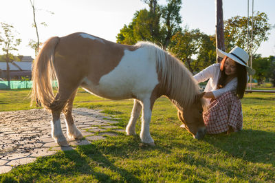 Horses in ranch against sky