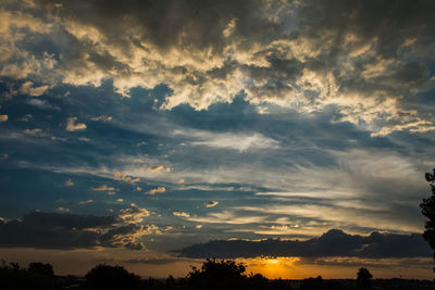 Silhouette trees against sky during sunset