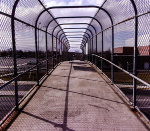 View of greenhouse