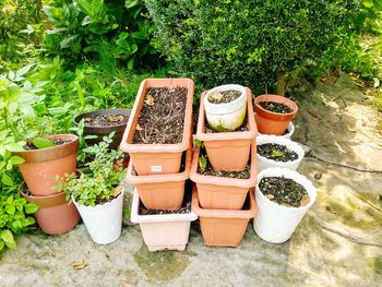 High angle view of potted plants in yard