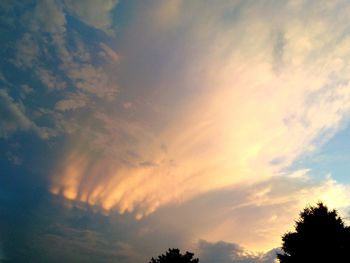 Silhouette of tree against dramatic sky