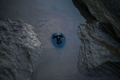Selective focus the black plastic mask is placed in the rocky river water. and evil mask with drama
