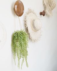 High angle view of plant on table