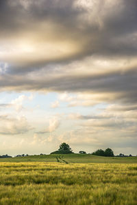 Scenic view of field against sky during sunset