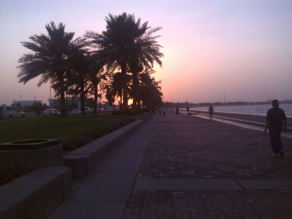 sunset, lifestyles, palm tree, men, silhouette, leisure activity, sky, tree, person, walking, water, footpath, orange color, the way forward, clear sky, outdoors, sea, road, full length