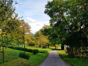 Road amidst trees against sky