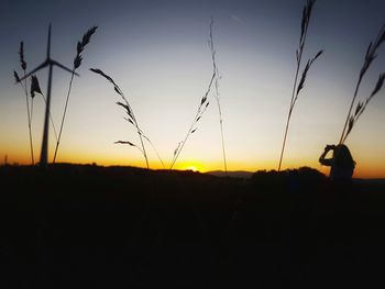 Silhouette plants on field against sky during sunset