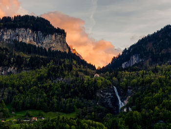 Scenic view of forest against sky