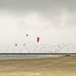 Birds flying over beach against sky