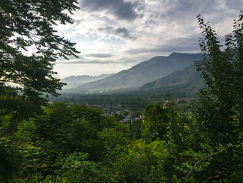Scenic view of trees and mountains against sky