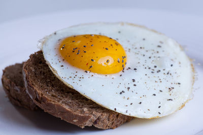 Close-up of bread in plate