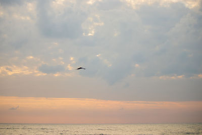 Birds flying over sea against sky