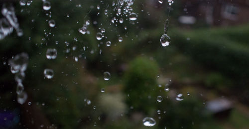 Close-up of raindrops on leaf